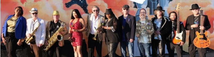 The Soul Cats Live Performance